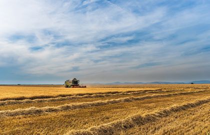 Фермерам Акмолинской области поставляли некачественный дизель